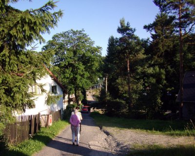 Mountain cottages