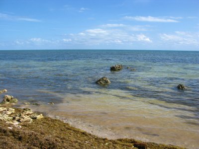 Rocks in the shallow water