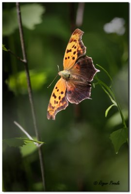 20100514_6058