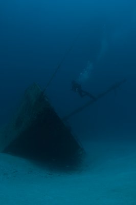 Diver on Wreck of the Inganess Bay