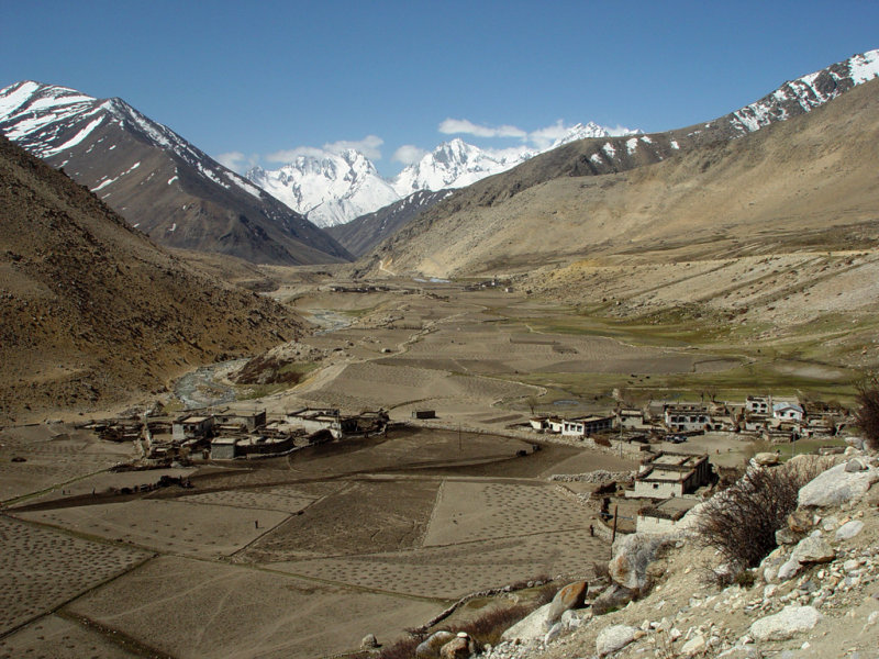 Farm Village
