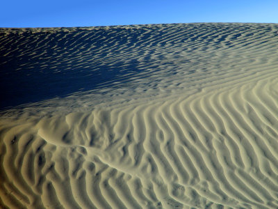 Dune #4