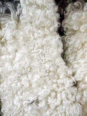 SOLD Curly Lamb Coat