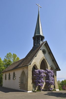 Little chappel with wisteria