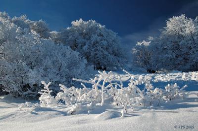 Mount Saleve in winter