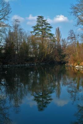 Reflection on the Arve river #2
