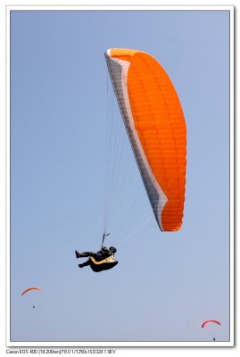 IMG_6730v1.jpg