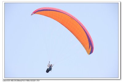 IMG_6736.jpg
