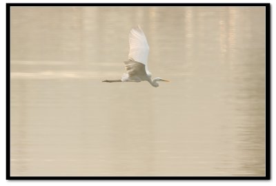 IMG_6953.jpg