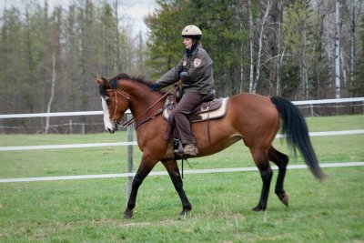 Sensory - Carlton County Sheriff's Horse Posse