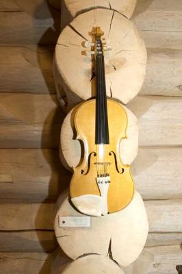 DSC_5453  -violin