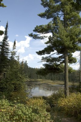 DSC_0752 Round Lake