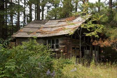 Shed at the garden