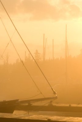 Hjordis in fog at sunset
