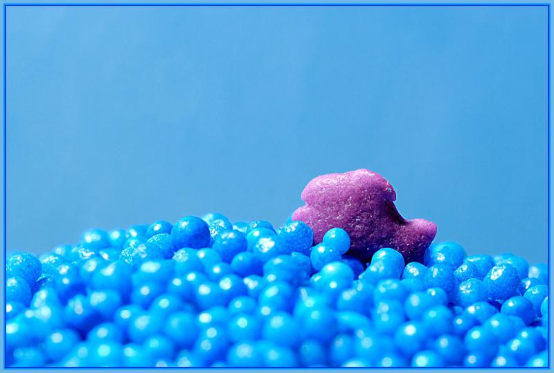 Purple Fish *
