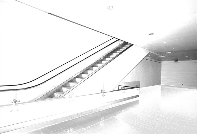 <b>8th Place (tie)</b><br>Up *<br>by Lew