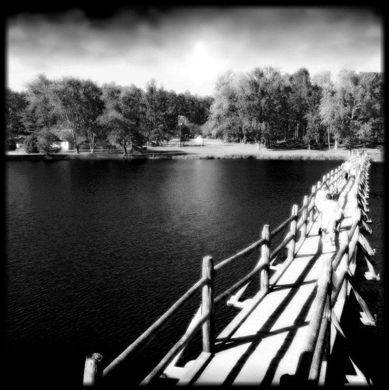 the bridge