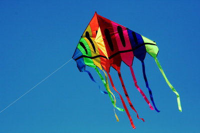Kite