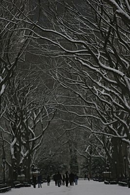 4th Place Stopping by the Woods on a Snowy Evening by Joshua Tanzer