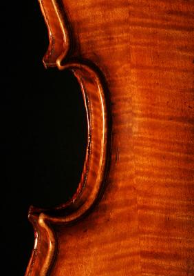 Violin *