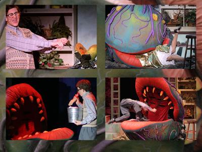 Little Shop of Horrors *