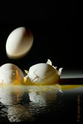 enough with the eggs shots by sergito rojkes