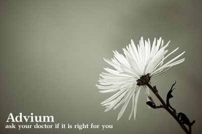 Advium flower campaign