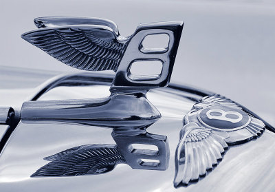 1st Place Exhibition Winged B by GeraldH