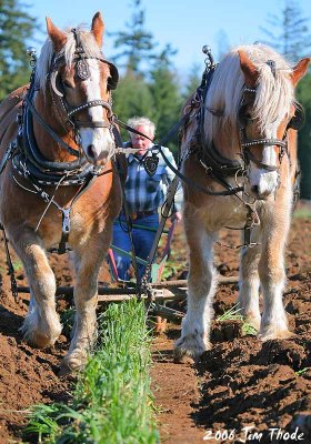 Working the Ground