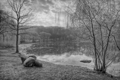 Misty Lake