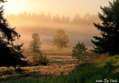 Foggy Morning by Jim Thode