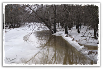 Winter River