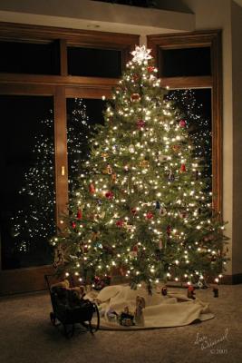 O, Christmas Tree!