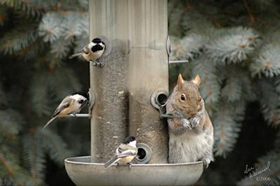Just Hangin' Out Together...