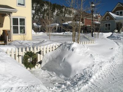 Snow Fences