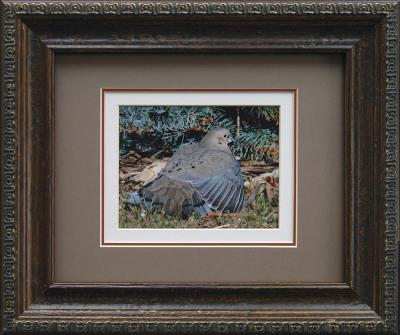 Print in 8x10 frame...triple matted
