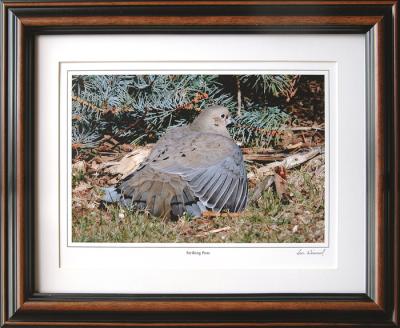 11x14 frame with matte