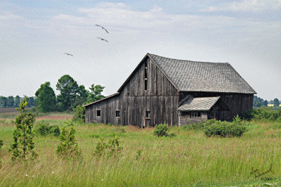 Once Upon A Time In Door County...