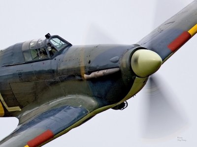 Sea Hurricane_U3V3305 