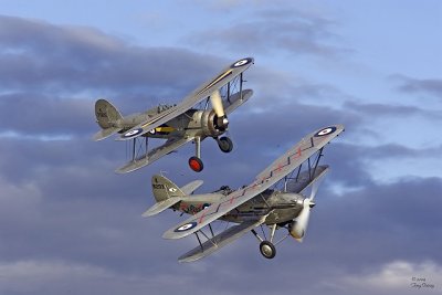 Gloster Gladiator and Hawker Demon_I0H0391