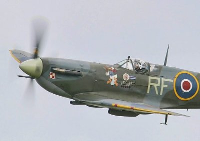 Spitfire .556D0062 