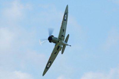  Spitfire           556D0373_3a.jpg    