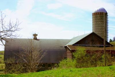 Watson's Farm