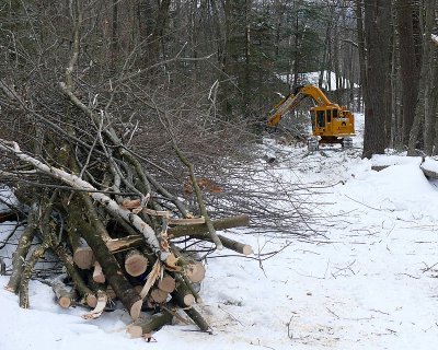 Tracked Feller Buncher