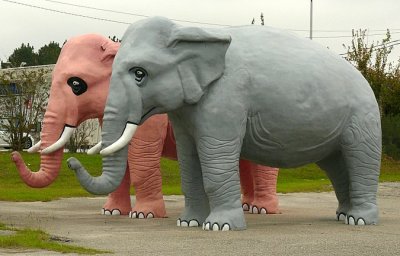 Elephants - Americana