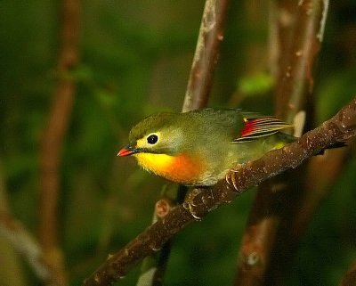 g3/36/323836/3/121308903.TejbK75z.jpg