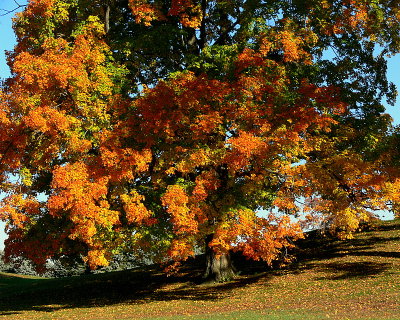 New England Fall 2007