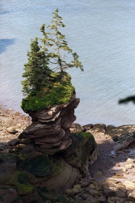 Fundy Trail Park