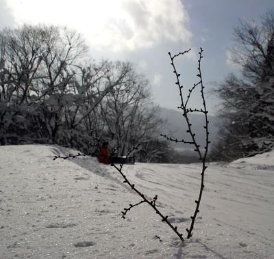g3/36/457736/3/54235071.naganoskitrip031.jpg
