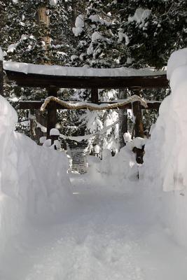 g3/36/457736/3/54235075.naganoskitrip037.jpg